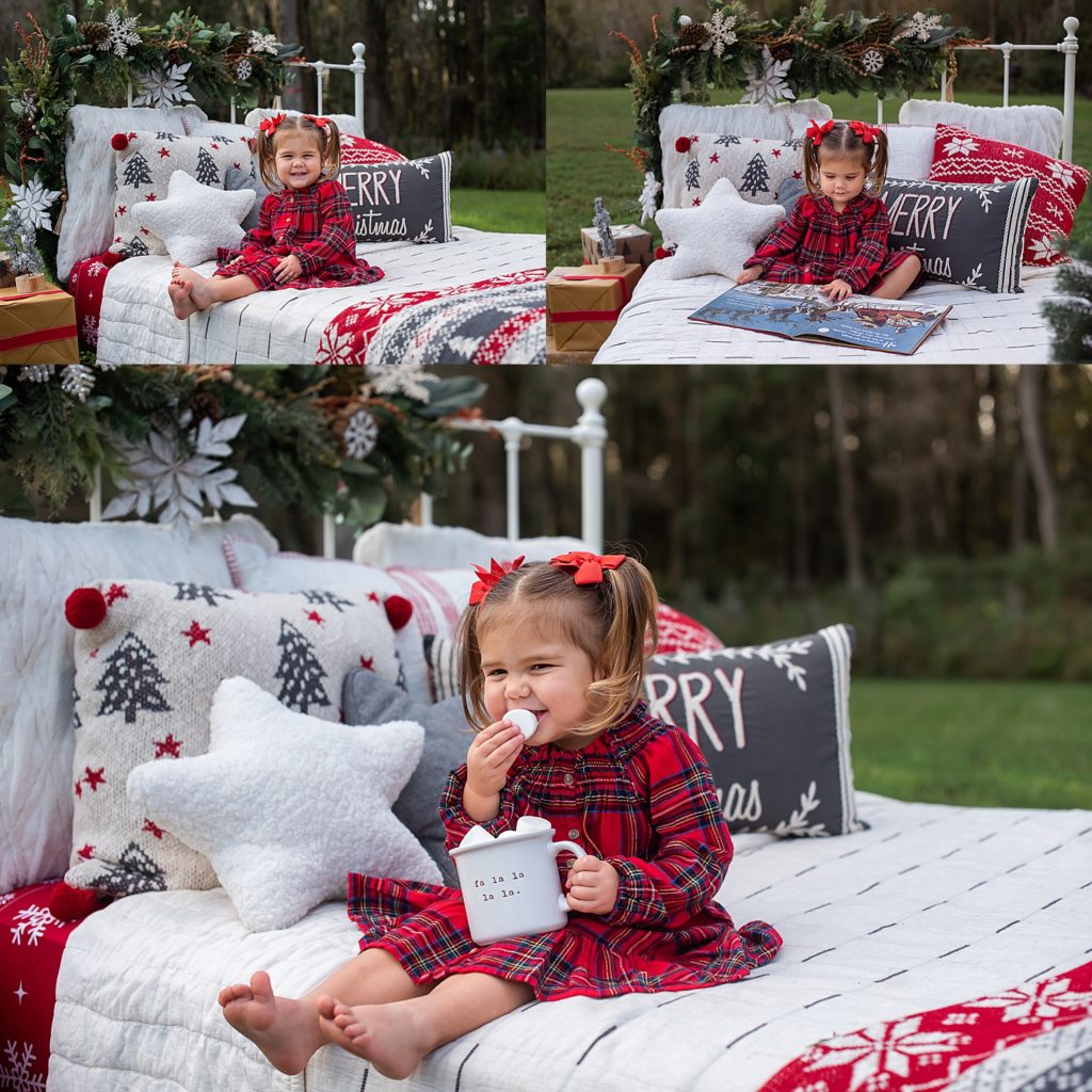 Christmas Mini, Milk and Cookies, Christmas Session, Photography