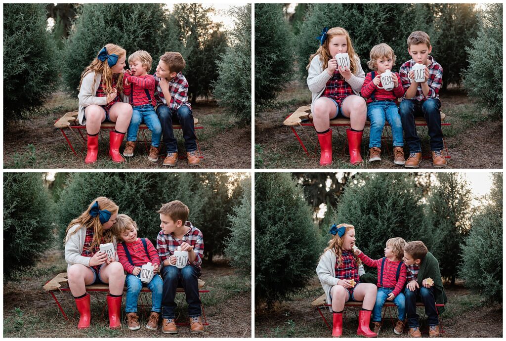 Family Photography, Christmas Minis, Tree Farm