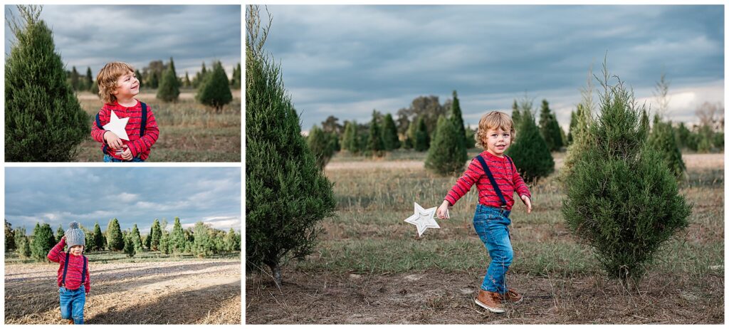 Fall Mini Session, Tree Farm, Portraits, Child